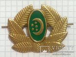 Латунь Turkmen cap badge brass Turkmenistan capbadge Turkmenien MützenEmblem Messing, фото №2
