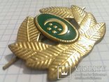 Латунь Turkmen cap badge brass Turkmenistan capbadge Turkmenien MützenEmblem Messing, фото №3