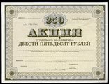 Акция Трудового Коллектива 1989 год 250 Руб, бланк, фото №2