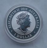 2019 г - 1 доллар Австралии,Райская птица,унция серебра,в капсуле, фото №4