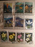 Почтовые марки 187 штук(флора,фауна,разные), фото №10