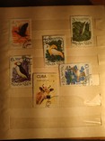 Почтовые марки 187 штук(флора,фауна,разные), фото №12