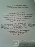 А.Лебедев "В.Васнецов", изд. Искусство 1955г, фото №6