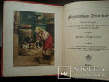 Детская книга с цветными литографиями. До 1917 года., фото №4