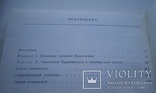 Древнрусские поселения Среднего Поднепровья (археологическая карта), фото №10