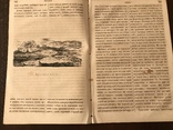 1854 Детский журнал Виктория Регия, Нострадамус, фото №5