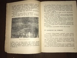 1932 Мех из болота Ондатра, фото №5