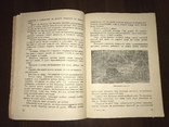 1932 Мех из болота Ондатра, фото №8