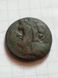 Пантикапей.294 - 284 год.до н.э Тетрахалк, фото №3