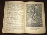 1940 Сельскохозяйственное Выставка 1940 года, фото №9