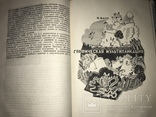 1936 Мультики Мультфильмы в суперобложке, фото №6