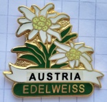 Эдельвейс, Австрия. Современный знак, позолоченый, на цанге, фото №2
