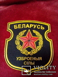 Шеврон 9 Вооружённые силы (Беларусь), фото №2