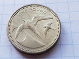 Великобритания,о.Святой Елены и Вознесения,1 фунт 1991 года., фото №2