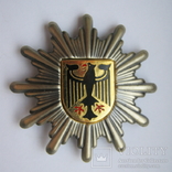 Пограничник (кроме МЧПВ) и федерал МВД ФРГ после 1993-го кокарда Германия, фото №6