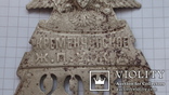 Нагрудный знак Жандармерии Кременчугской У.Ж.Д., фото №6
