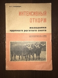 1932 Откорм Крупного рогатого скота, фото №3