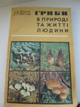 Книга грибы в природе ижизни человека, фото №2