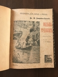 1915 Детские повести с рисунками, фото №3