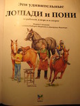 Лошади и пони, фото №4