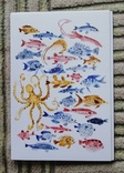 Открытки подводный мир фауна флора рыбы ракушки осьминоги водоросли, фото №4