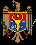 Republica Moldova полевая пограничная кокарда в районе 1998-го  года ЛАТУНЬ покраска, фото №3
