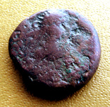 Пантикапей, Статер, Фофорс, 285/286-309/310 н.э. ZΠΦ, Лот 2176, фото №3