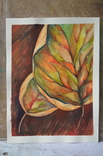 Листья, фото №2