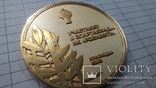Медаль настольная НК роснефть позолота, фото №8