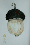 Декоративная тыква. Авторская акварель. Декор для кухни в деревянной раме (клен), фото №7