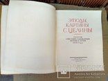 Этюды картины с целины, фото №3