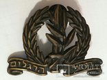 Израиль Армия Пехота (мотострелки) Кокарда после 1992 года Israel infantry beret badge, фото №2