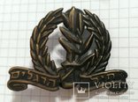 Израиль Армия Пехота (мотострелки) Кокарда после 1992 года Israel infantry beret badge, фото №6