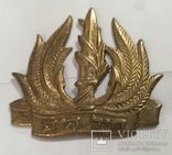 ВМФ флот Израиль Кокарда для берета = 44 мм х 48 мм = Israeli Navy beret badge, фото №2