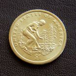 США 1 доллар 2009, Сакагавея Индианка, фото №3