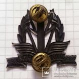 Израиль. Кокарда связиста на берет после 1991 года Israel signals beret badge Армия Связь, фото №5