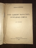 1926 Как самому вырастить Огородные Семена, фото №3