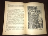 1939 Радгосп ім. Фрунзе, фото №8