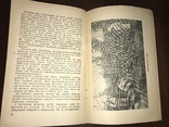 1939 Радгосп ім. Фрунзе, фото №9