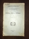 1926 Брюква, Репа и Турнепс, 19 рисунков, фото №3