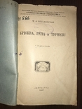 1926 Брюква, Репа и Турнепс, 19 рисунков, фото №4