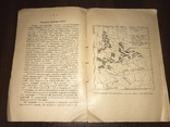 1926 Брюква, Репа и Турнепс, 19 рисунков, фото №5