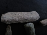 Окаменелые кости и кусок доисторического дерева., фото №8