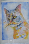 Три акварельных  рисунка.  коты, фото №9