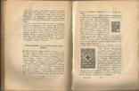 Л.Мюллер Филателист 1925 Издательство Жизнь Искусства 192 стр., фото №6