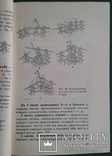 Салфетки: вязание на спицах.(Практическое пособ.)., фото №9