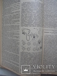 Журналы "Врачебное дело" Харьков 1931 год,12 журналов(24 номера)-годовая подшивка, фото №6