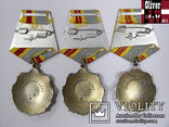  Орден Трудовая Слава 1 2 3 степень серебро документы СССР, фото №5