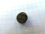 Монета Боспор.Пантикапей.2, фото №3