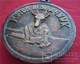 Медаль - Потеха "Козёл-Неудачник" 2,416 КГ., фото №4